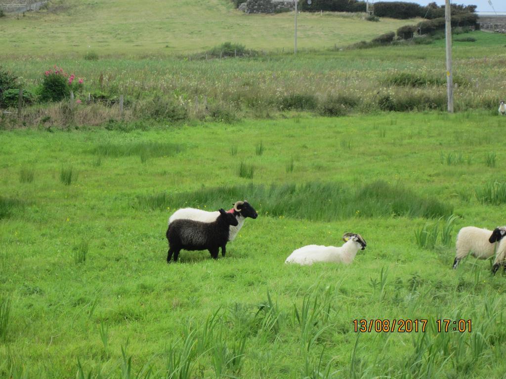 Cois Na Mara B&B Cleggan Extérieur photo