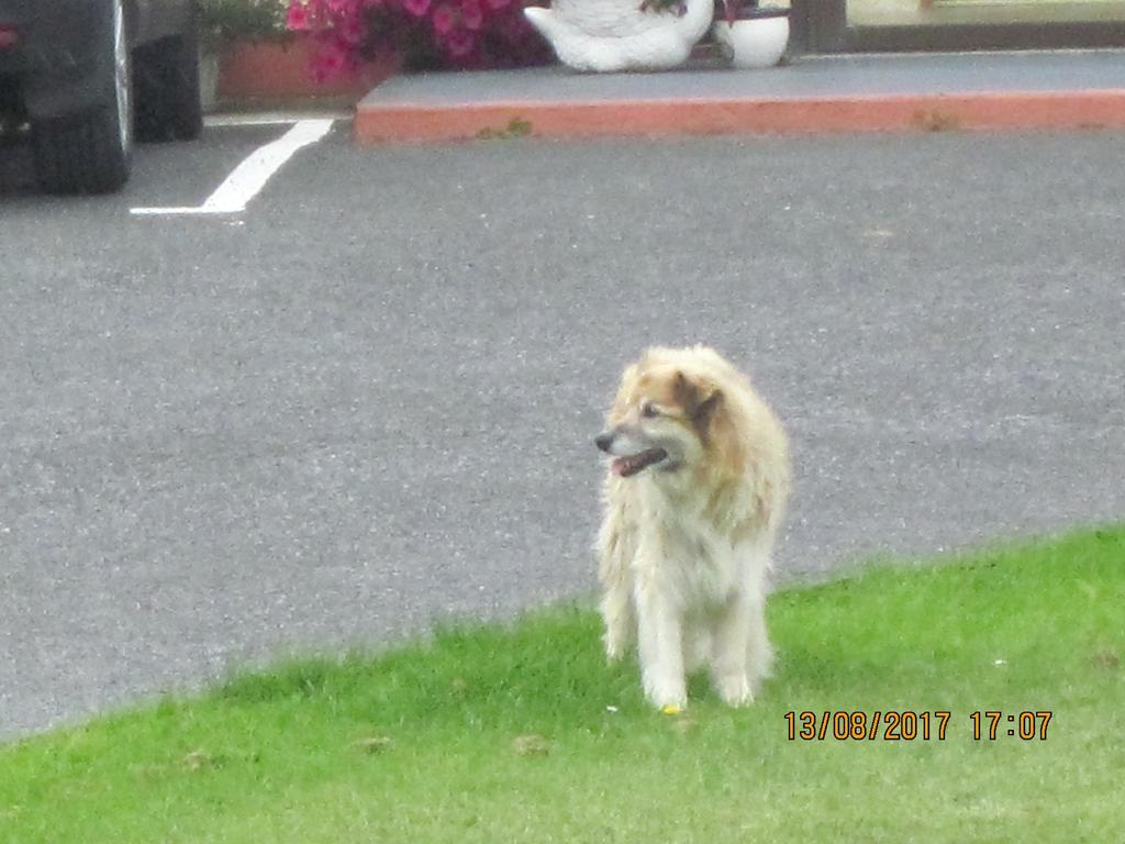 Cois Na Mara B&B Cleggan Extérieur photo